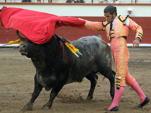 Todo el toro por delante