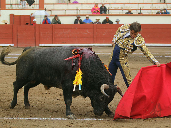Asentado en el natural