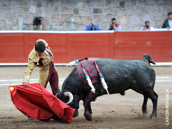 Su voluntad de triunfo