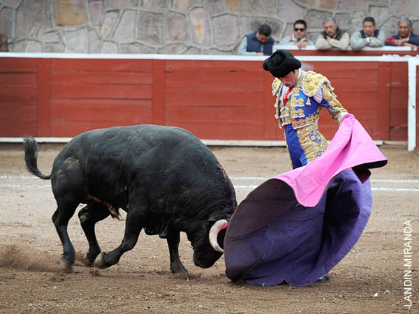 Demostr� que el toreo es eterno