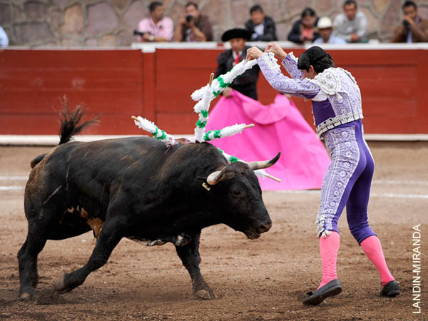 En la cara del ejemplar