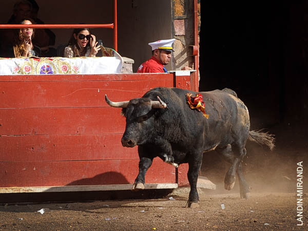 Salta a la arena el segundo