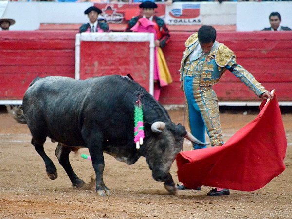 Un natural de Fabi�n Ruiz