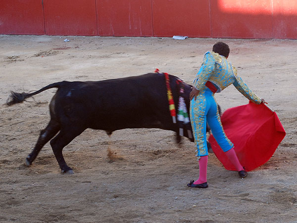 Un muletazo de trazo largo