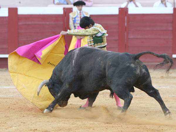 El quite a su primero