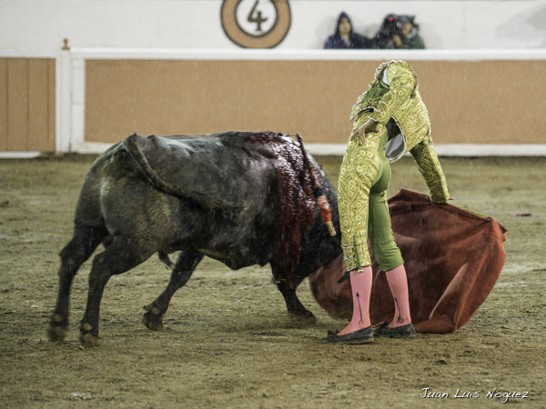 Llev�ndolo toreado