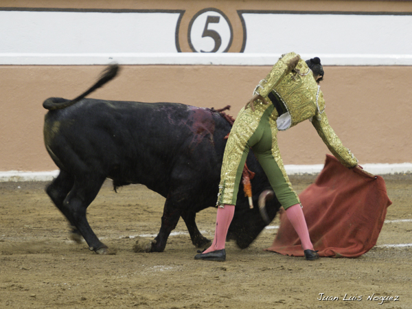 La faena de Diego S�nchez