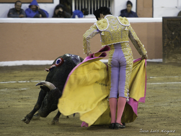 Quit� por chicuelinas