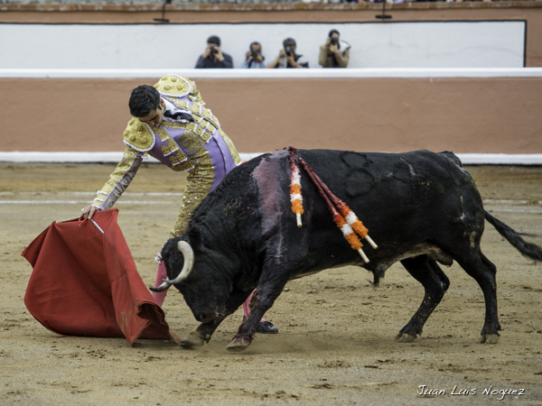 Muletazos con largueza
