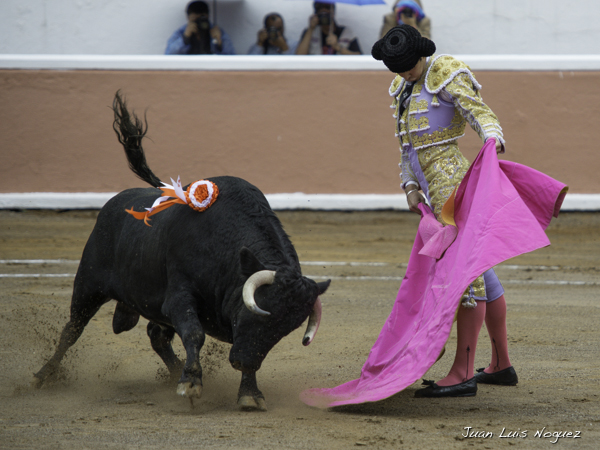 Lances de Ricardo Frausto