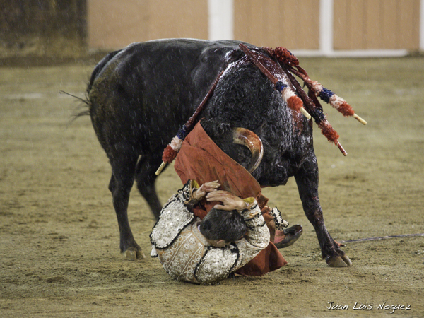 A merced del ejemplar