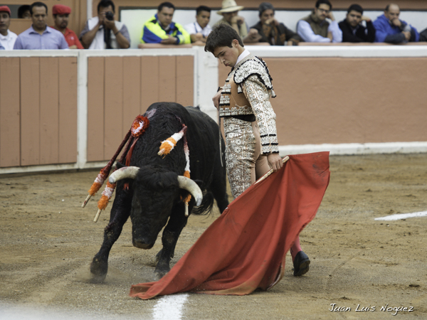 Solo pudo esbozar detalles