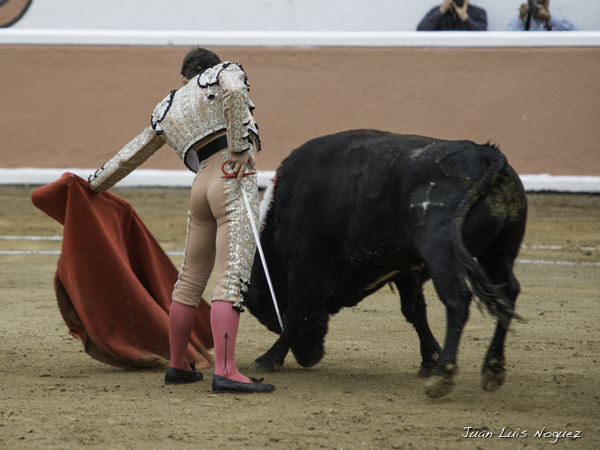 Tirando del ejemplar