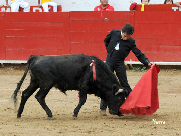 Torea lento� lento� lento