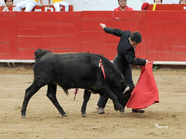 Templa como un bendito