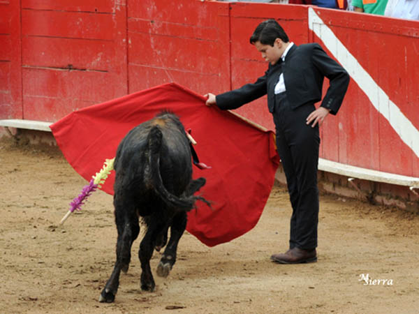 Debut� esta tarde en p�blico