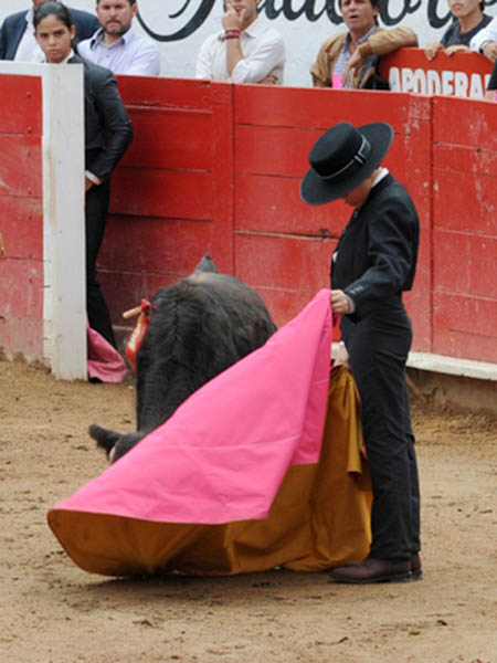 Conjunta virtudes  el solo