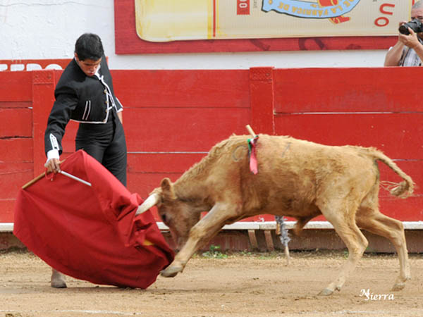 Nunca ech� la pata pa�tras