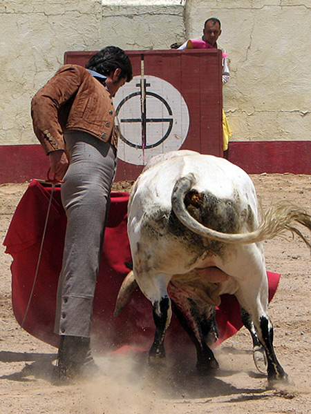 Zumb�ndose al toro