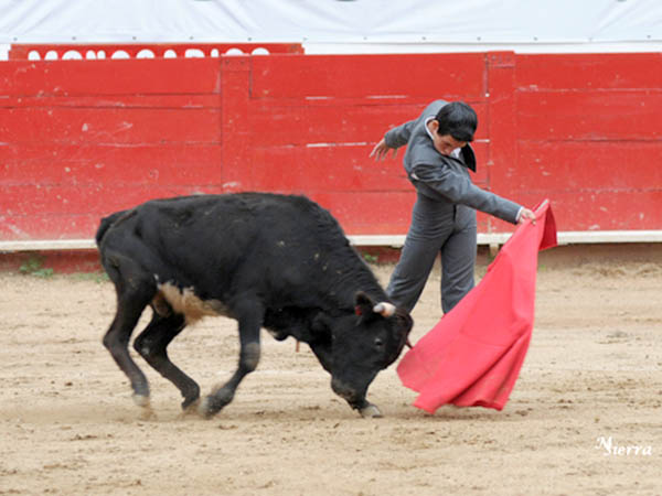 Series correctamente rematadas