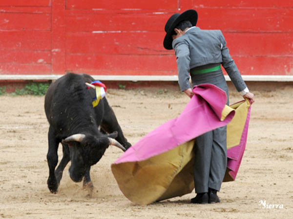 Chicuelinas con sabrosura