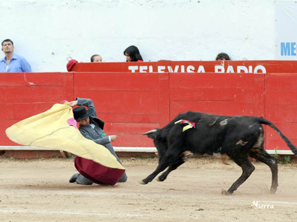Un par de afarolados de hinojos