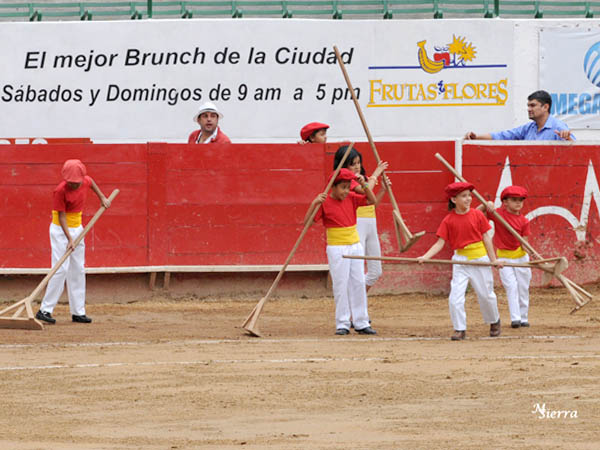 El servicio de plaza