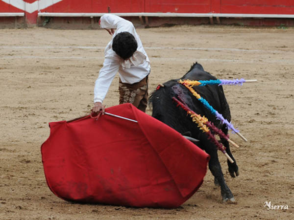 Dimensi�n en los muletazos