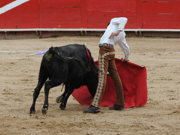 La faena nunca baj� de tono