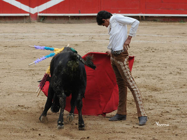 Un negro entrepalado de Xajay