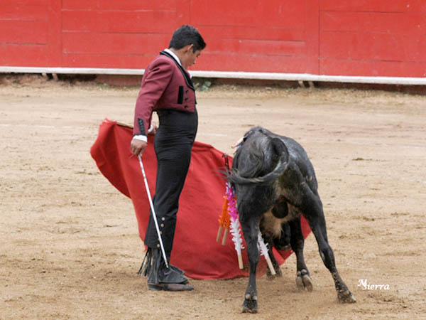 Su muleteo es variado y pinturero