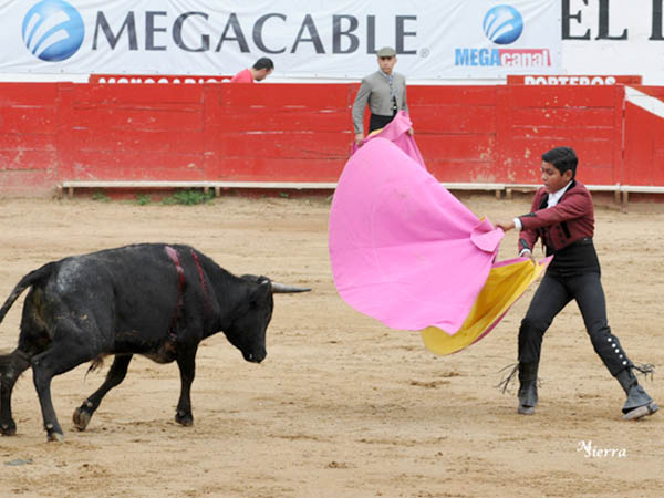 Las zapopinas le salen mejor