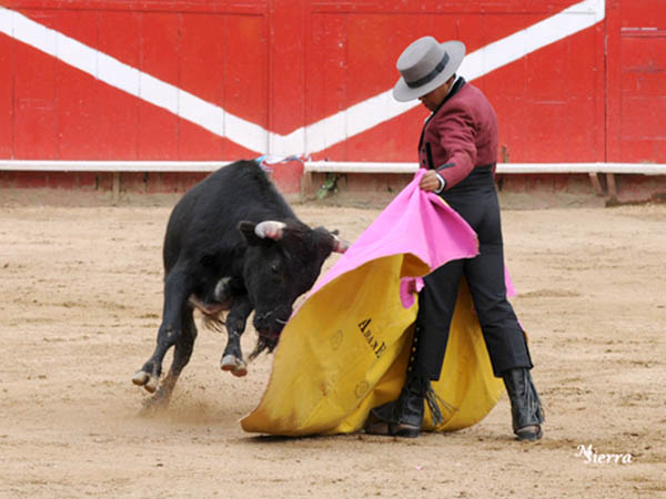 Con temple rematadas ver�nicas