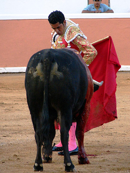 Plant�ndole cara, Garibay