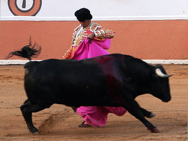 Pas�ndose cerca los pitacos