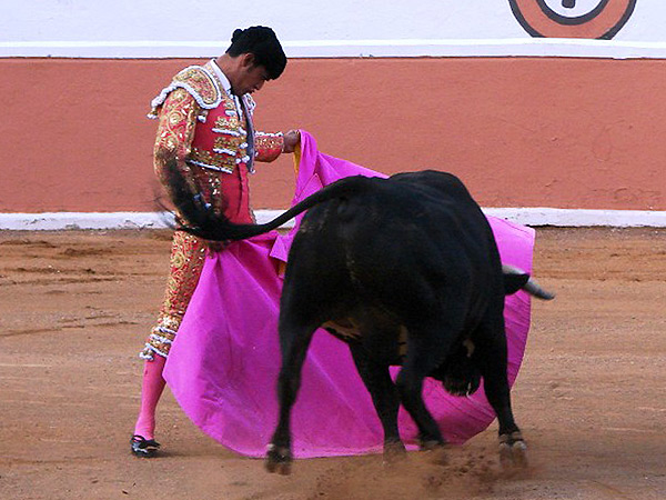 Tersa ver�nica de Nacho