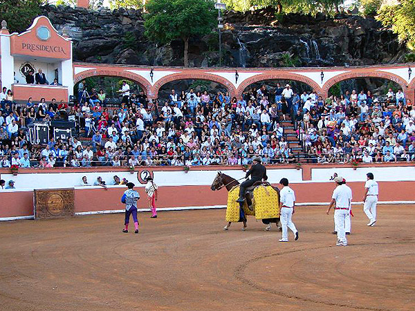 Partiendo plaza en bello coso