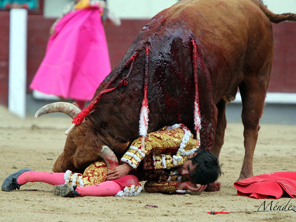 A merced del colorado