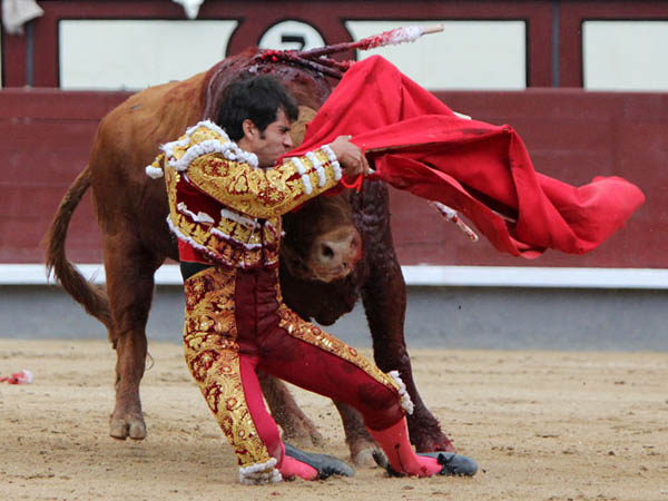 Prendido del vestido