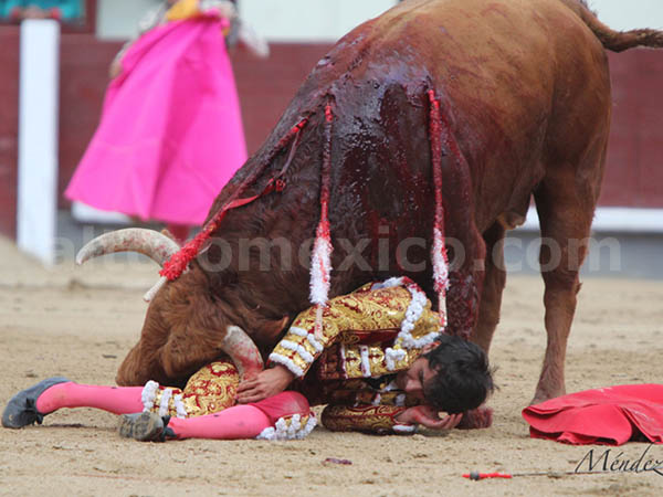 Ceb�ndose con el mexicano