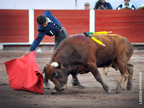 Tarde interesante de 6 novilleros