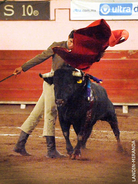 Eemplar de Medina Ibarra