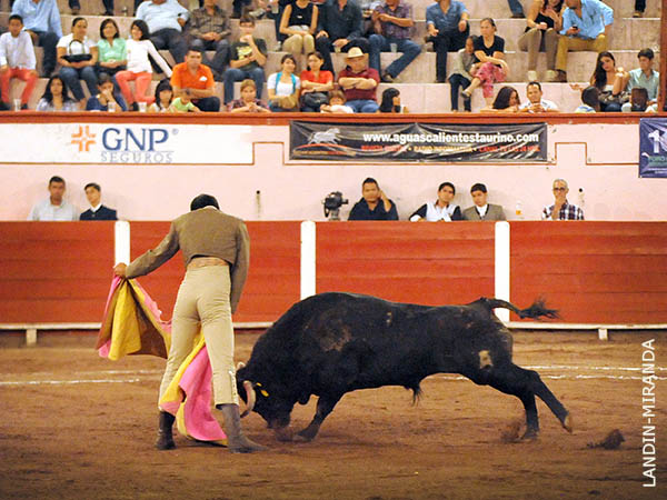 El capote de Jos� Ma.  Hermosillo