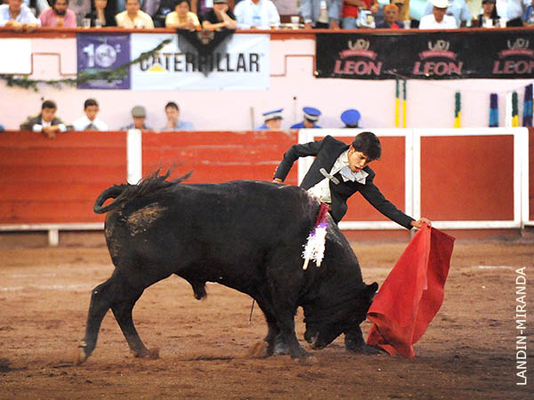 Templados muletazos en los medios