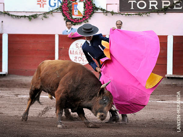 Recibo de Diego S�nchez