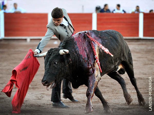 Toreo en la l�nea del ejemplar