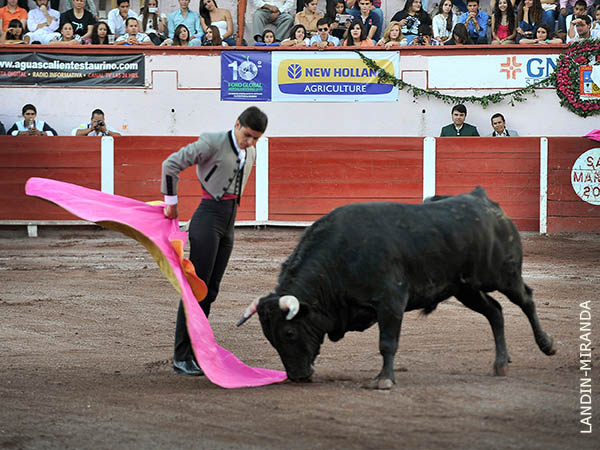 Revolera de Javier Castro