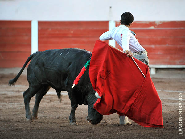 Cambiado por la espalda
