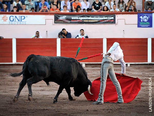 Muletazos de cintura rota
