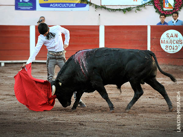 Metido en la muleta